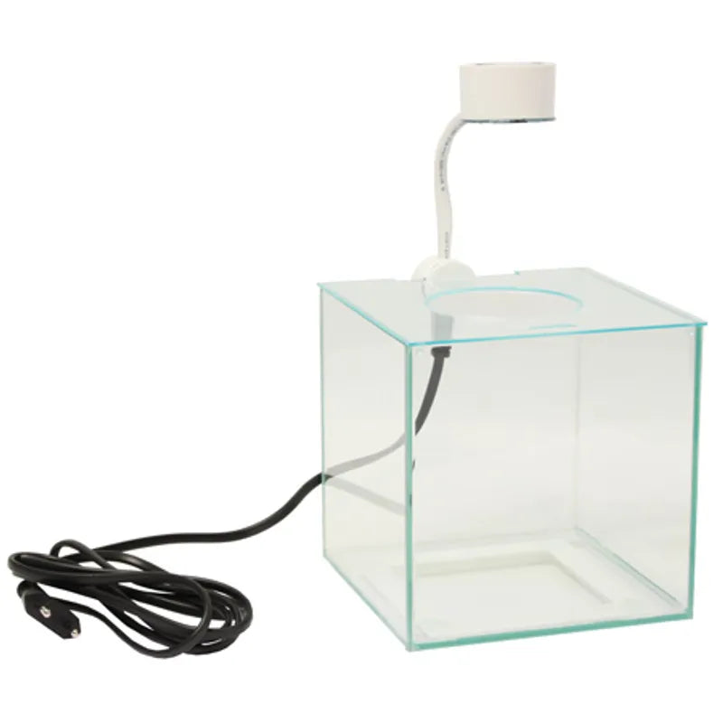 Marina Betta Kit – Cubus 3,4 L med LED-belysning