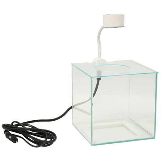 Marina Betta Kit – Cubus 3,4 L med LED-belysning