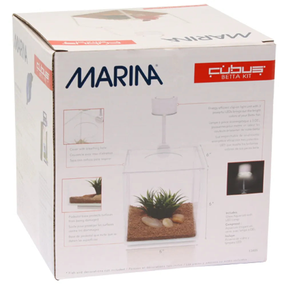 Marina Betta Kit – Cubus 3,4 L med LED-belysning