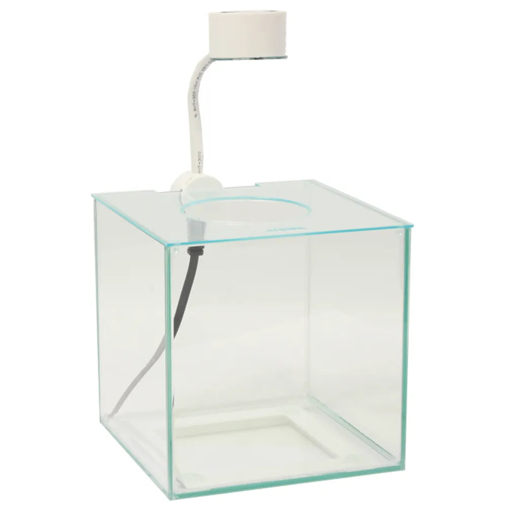 Marina Betta Kit – Cubus 3,4 L med LED-belysning