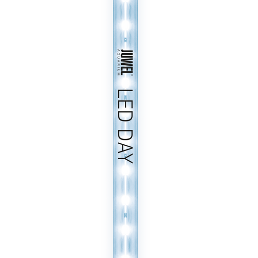 Juwel LED Day Light – Klart, vitt ljus för optimal färgåtergivning