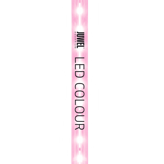 Juwel LED Light Colour – Lysrör för starkare fiskfärger