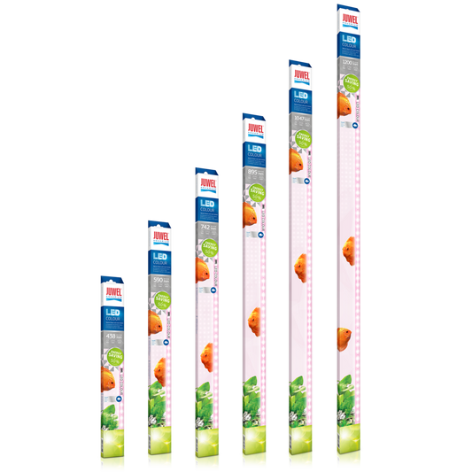Juwel LED Light Colour – Lysrör för starkare fiskfärger