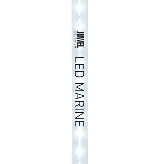 Juwel LED Light Marine – Lysrör för koraller och marina akvarium