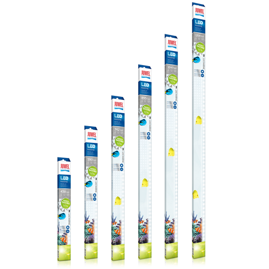 Juwel LED Light Marine – Lysrör för koraller och marina akvarium