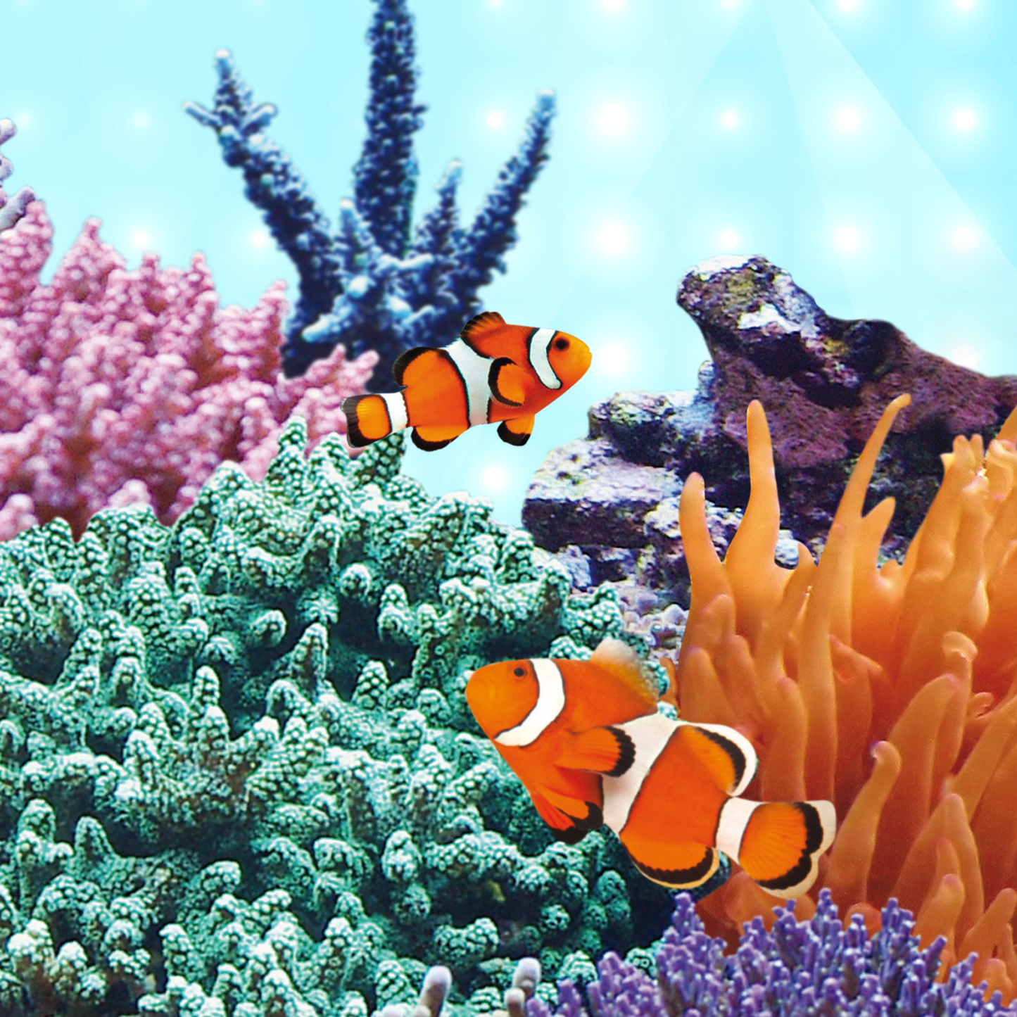 Juwel LED Light Marine – Lysrör för koraller och marina akvarium