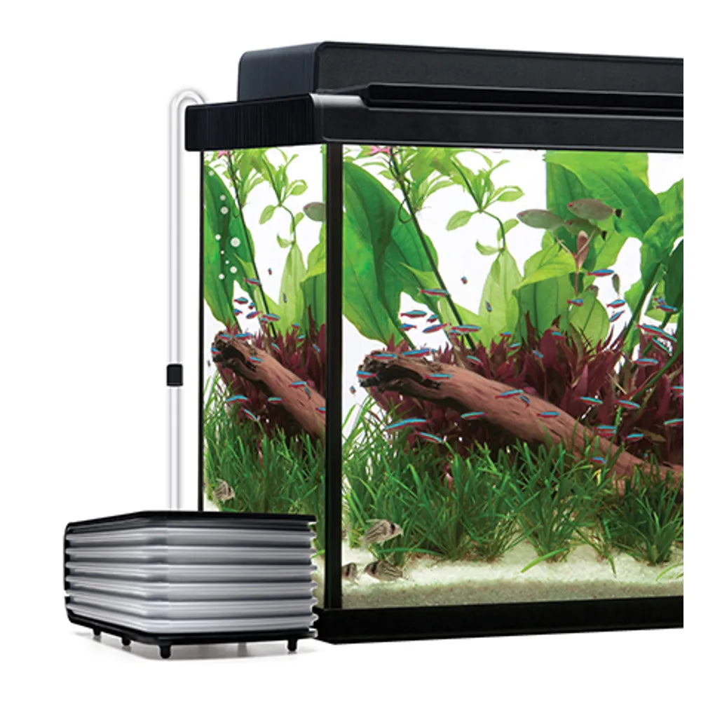 Fluval Q Luftpump – Tyst och Effektiv Syretillförsel för Akvarium
