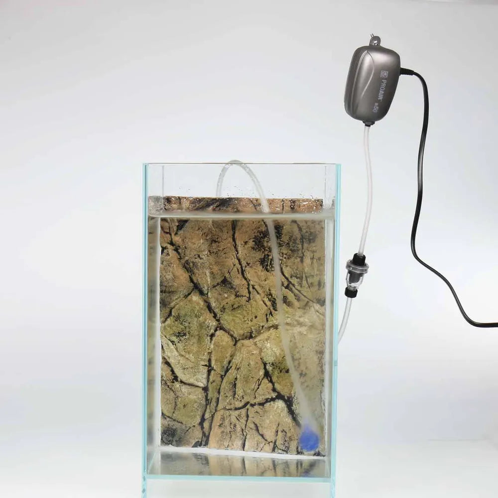 JBL ProAir A50 – Tyst och Energieffektiv Luftpump 50 l/h