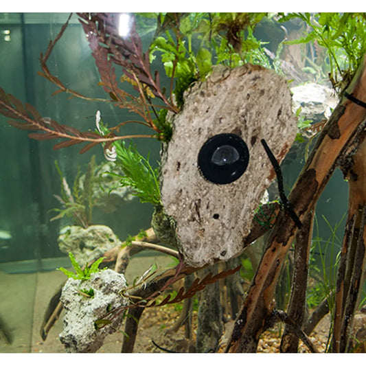 AquaDeco Flytande Stenar S (10–17cm) – Dekoration med sugkoppar för vägg