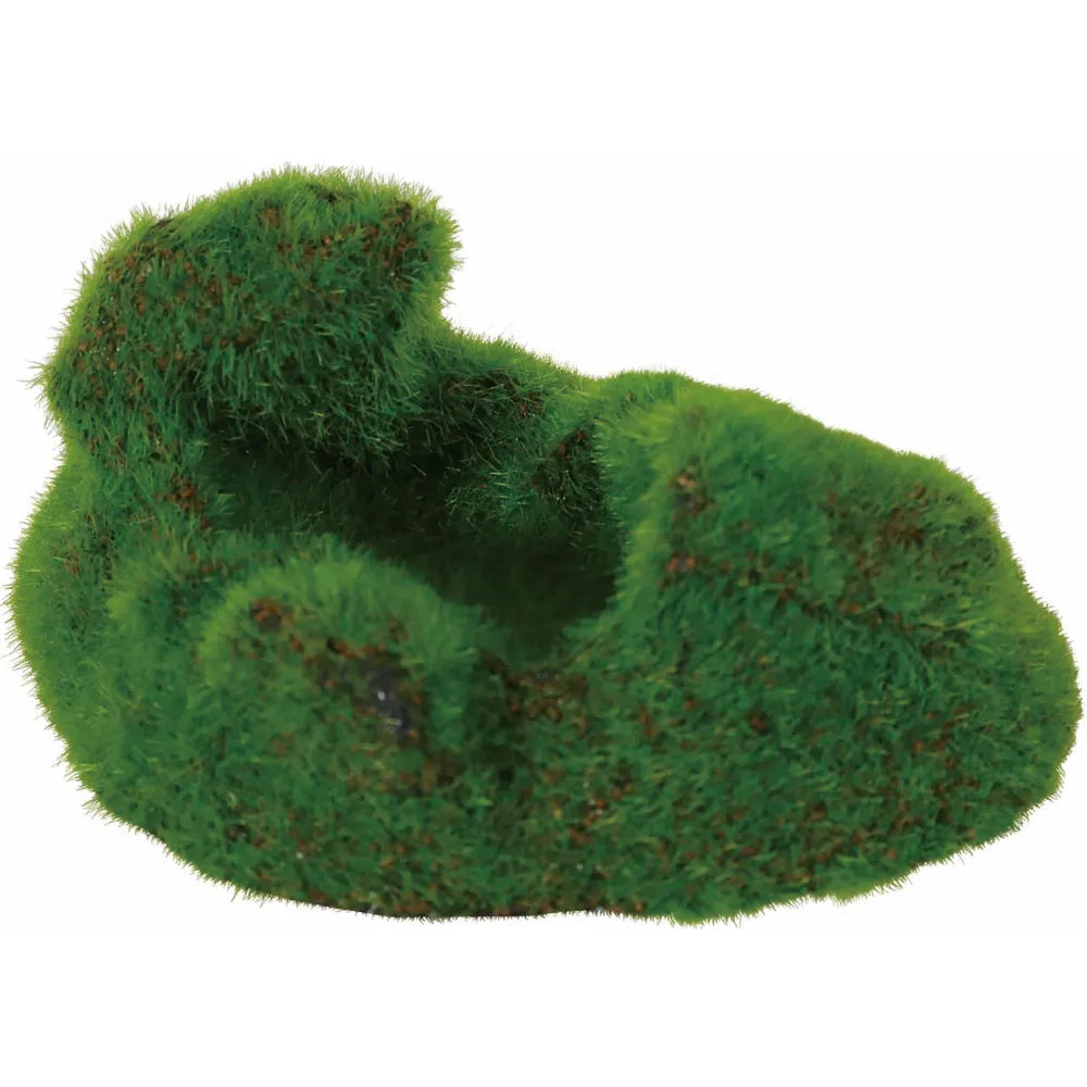 Zolux Kipouss Sten med Växtfrön – Dekorsten med levande växtfrön