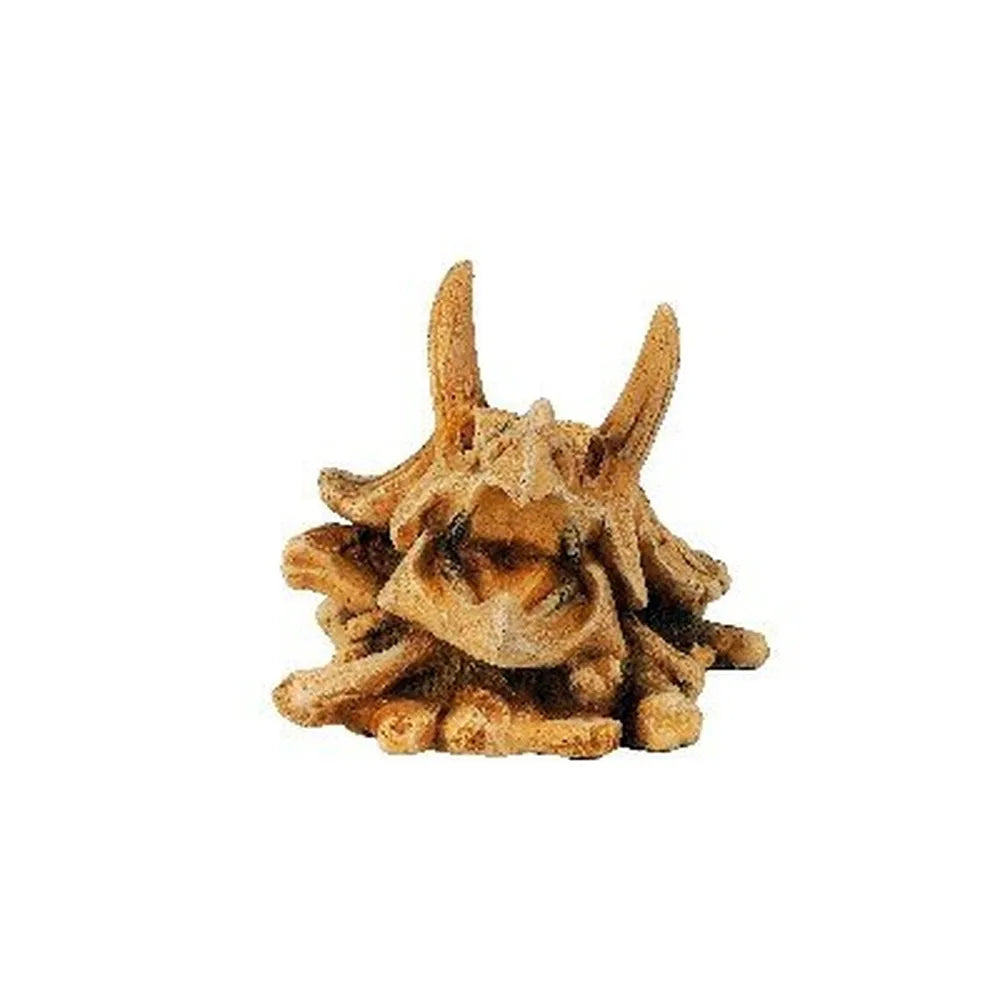 Classic Triceratops Dinosaur Skull – Akvariedekoration 12cm