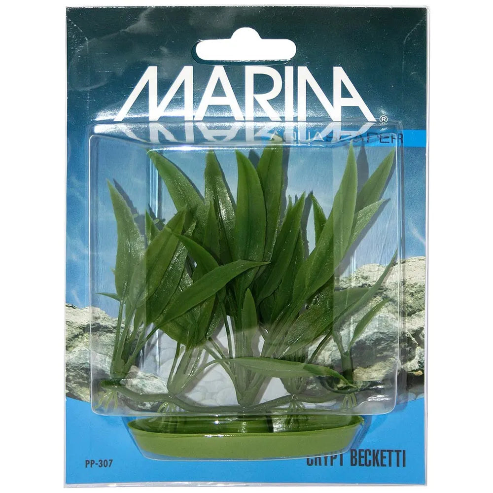 Marina Plastväxt Crypt Becketti 12cm – Naturtrogen akvarieväxt med rotbas