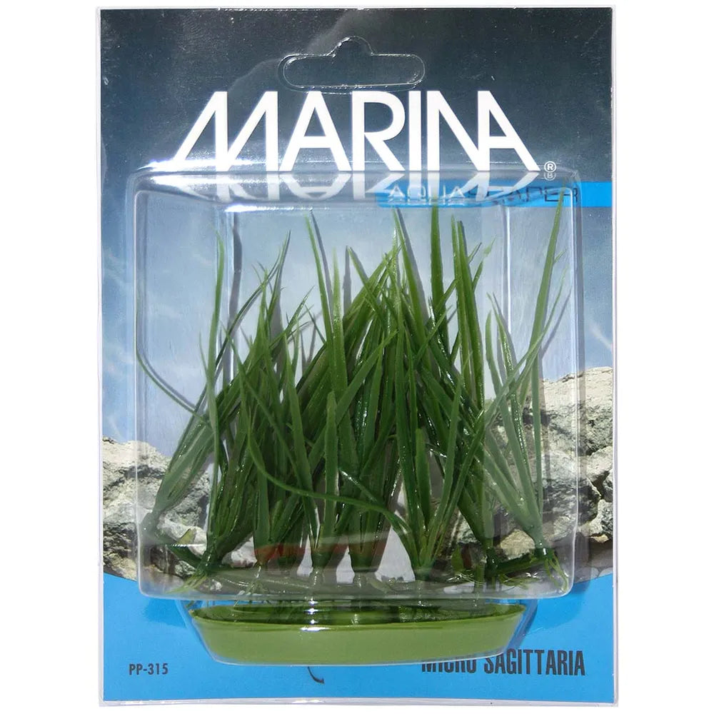 Marina Plastväxt Micro Sagittaria 10cm – Låg gräsliknande förgrundsväxt