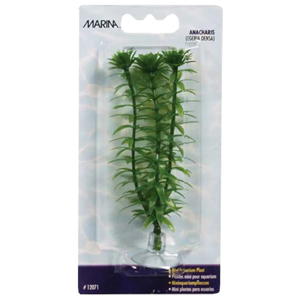 Marina Plastväxt Anacharis Mini 10cm – Med sugkopp