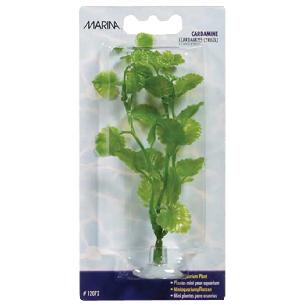 Marina Plastväxt Cardamine Mini 10cm – Med sugkopp
