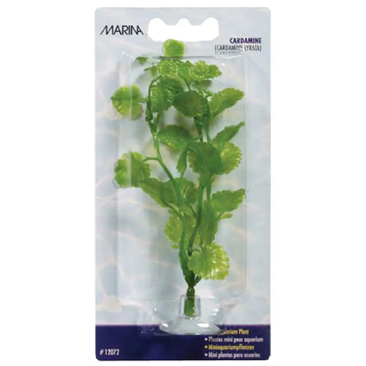 Marina Plastväxt Cardamine Mini 10cm – Med sugkopp