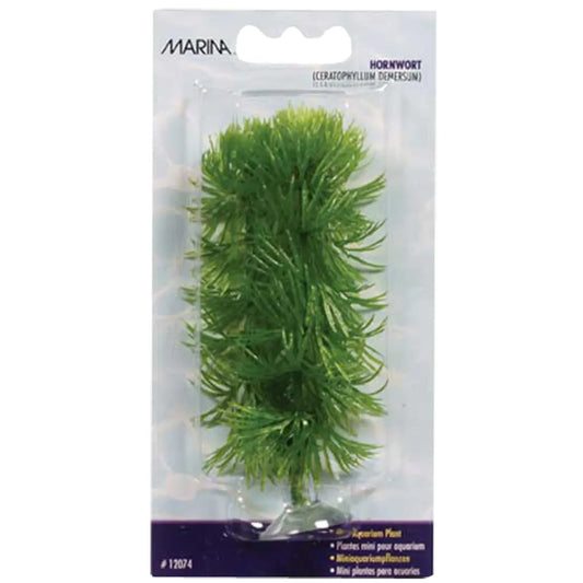 Marina Plastväxt Hornwort Mini 10cm med Sugkopp – Grön akvarieväxt