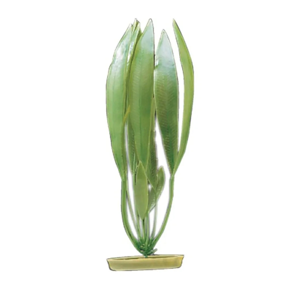 Marina Plastväxt Amazon Svärdplanta – Naturtrogen akvarieväxt (13–38cm)
