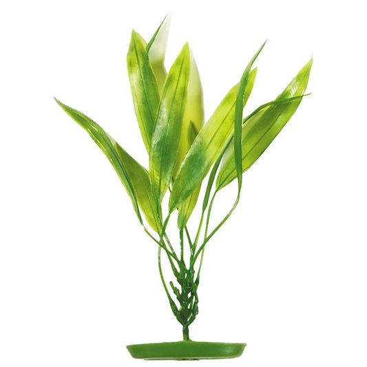 Marina Plastväxt Amazon Svärdplanta – Naturtrogen akvarieväxt (13–38cm)