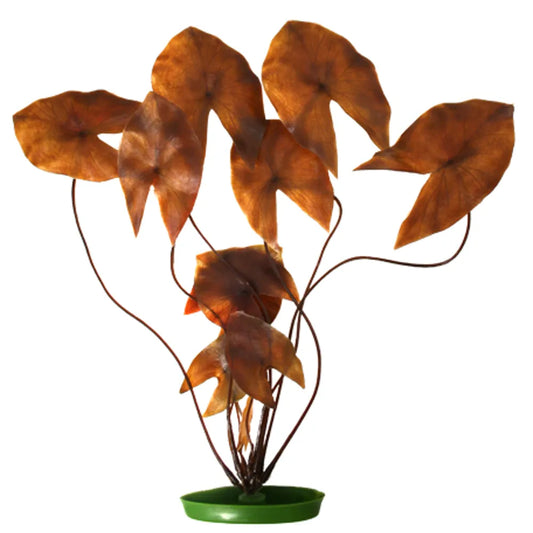 Marina Plastväxt Röd Dvärgnäckros 38cm – Hög bakgrundsväxt med naturlig bottenplatta