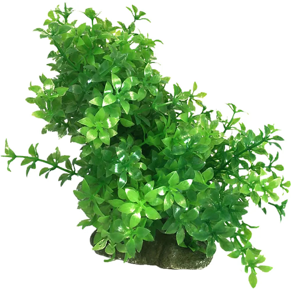 Ozami Plastväxt Böjbar – Flexibel akvarieväxt (8,5×12–20cm)