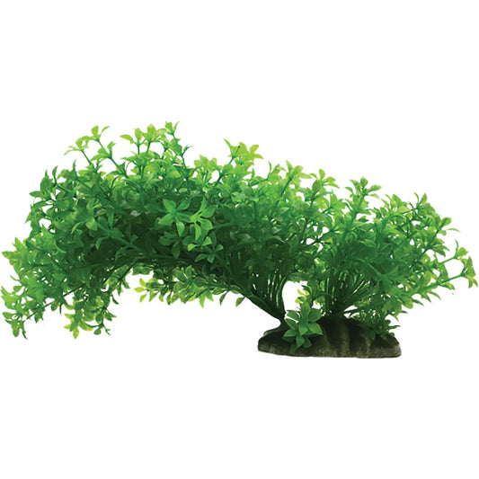 Ozami Plastväxt Böjbar – Flexibel akvarieväxt (8,5×12–20cm)