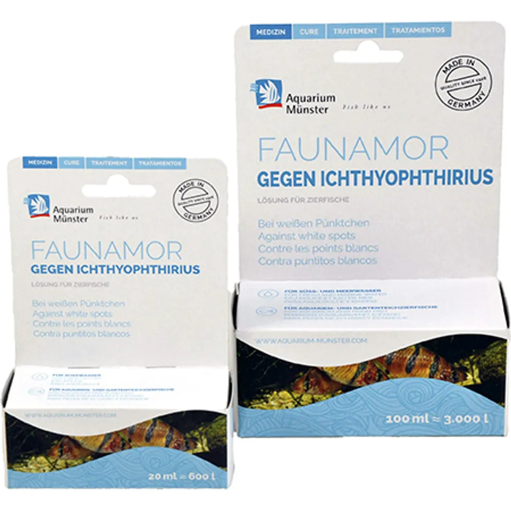Münster Faunamor – Mot vita prick-sjukan hos akvariefisk