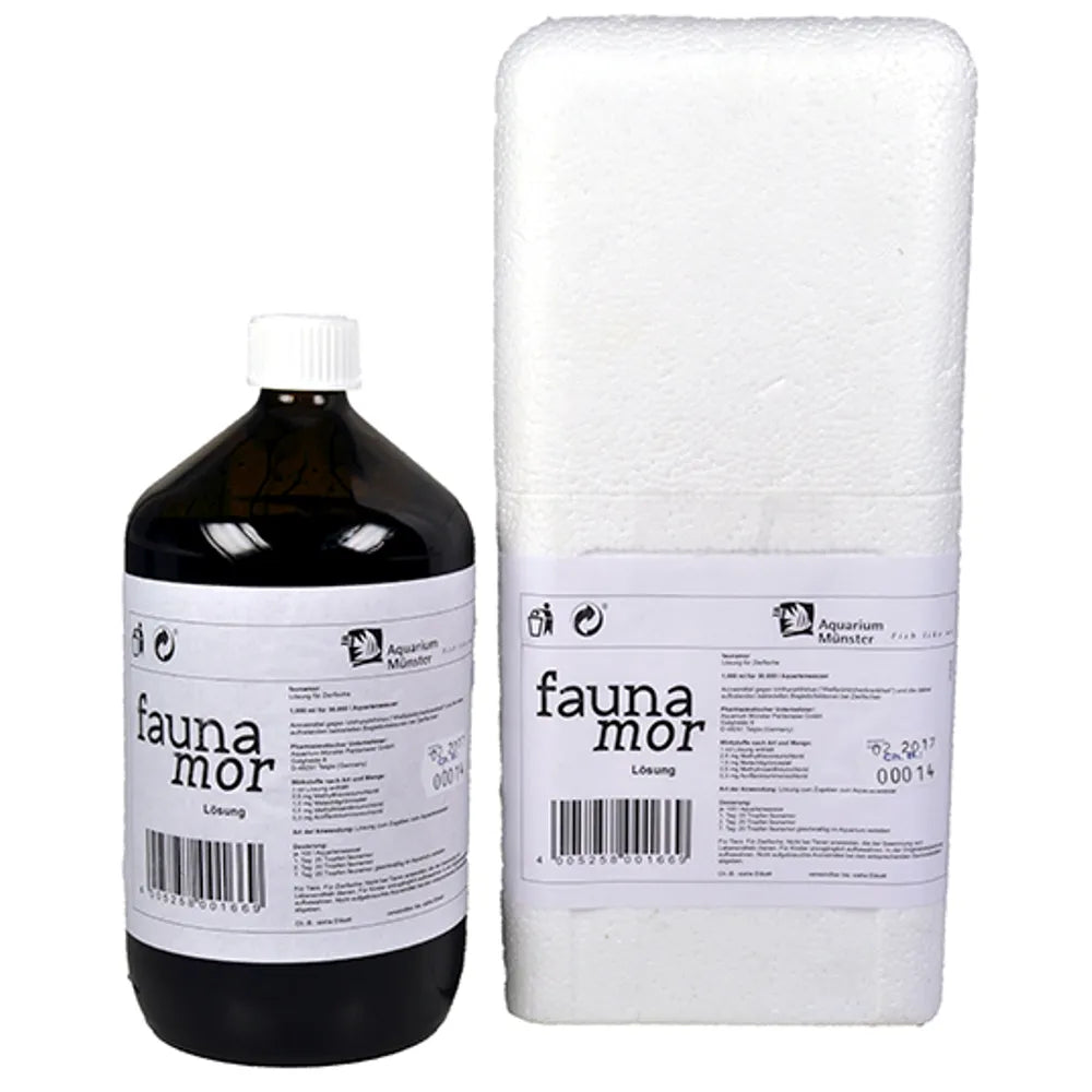 Münster Faunamor – Mot vita prick-sjukan hos akvariefisk