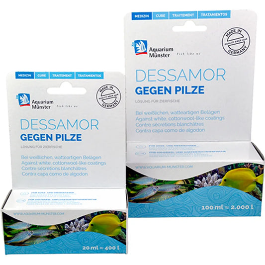 Münster Dessamor – Mot svampinfektioner hos akvariefisk