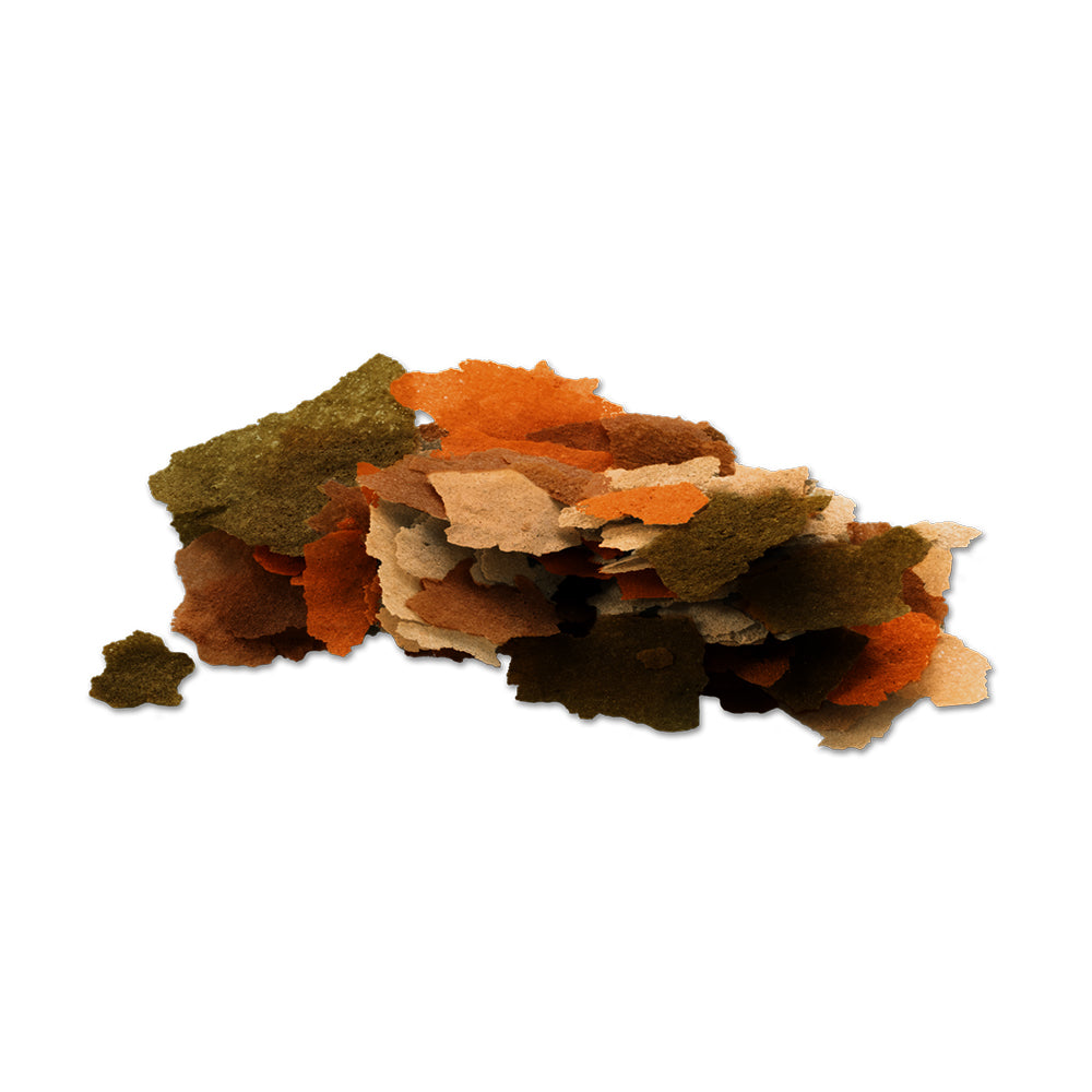 TetraMin Flakes