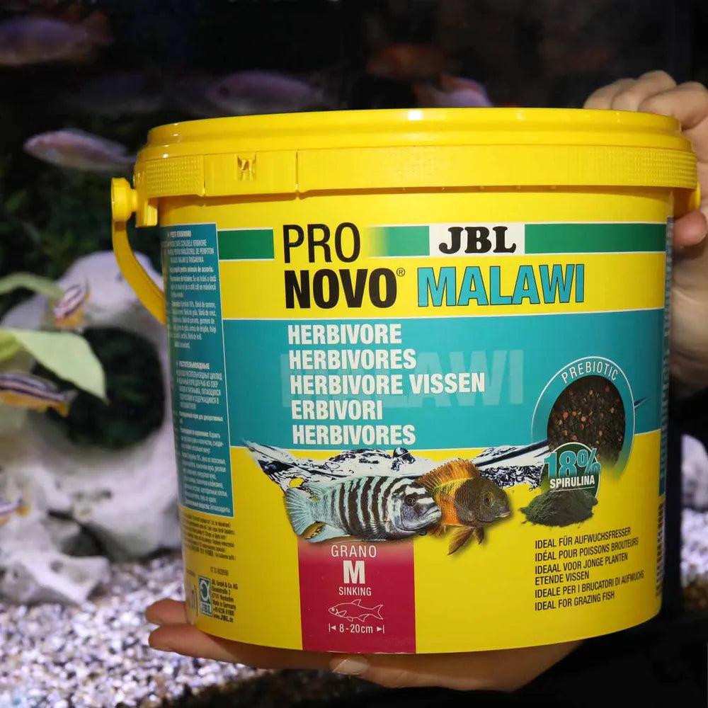 JBL ProNovo Malawi Grano M 5,5 l – granulat för algätande ciklider