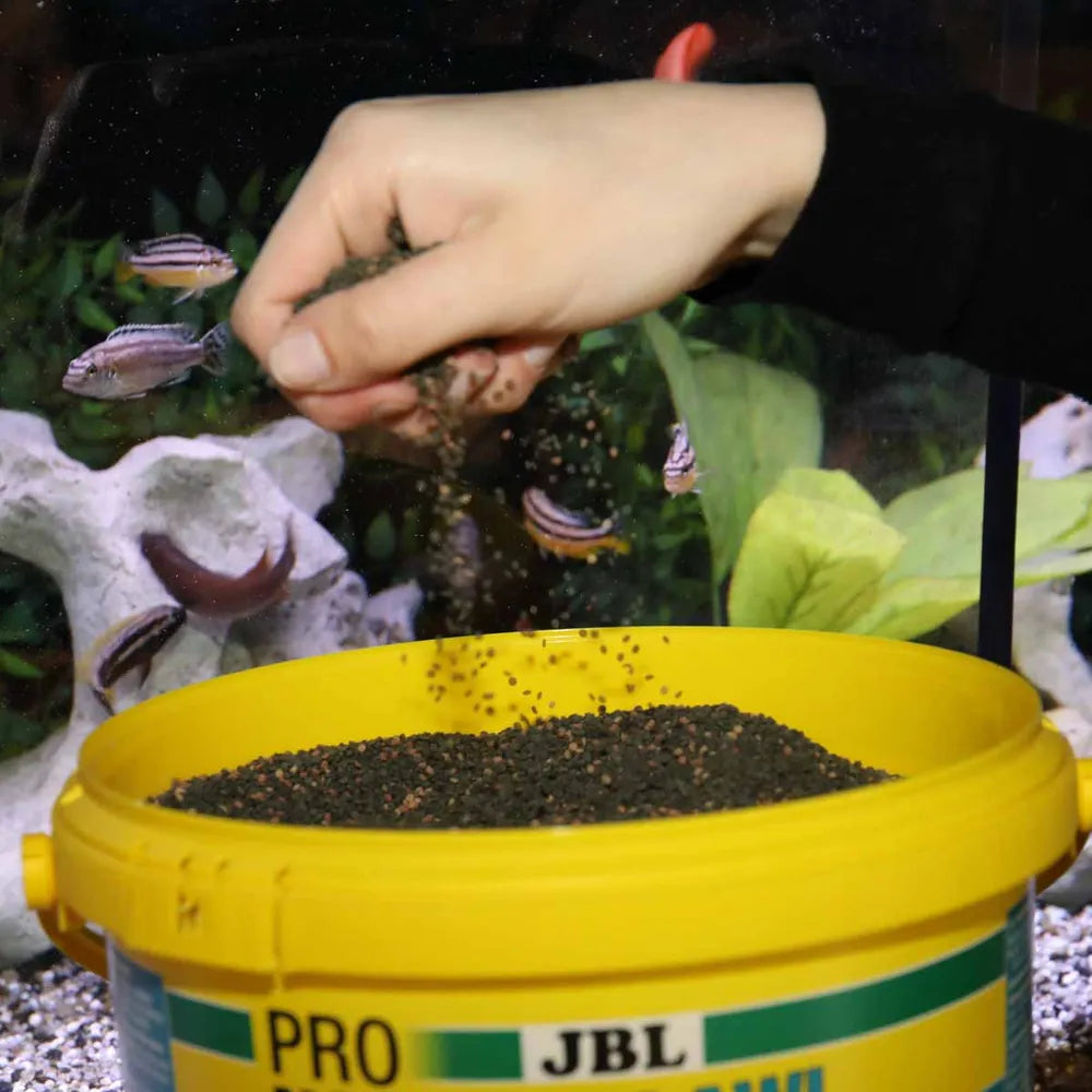 JBL ProNovo Malawi Grano M 5,5 l – granulat för algätande ciklider