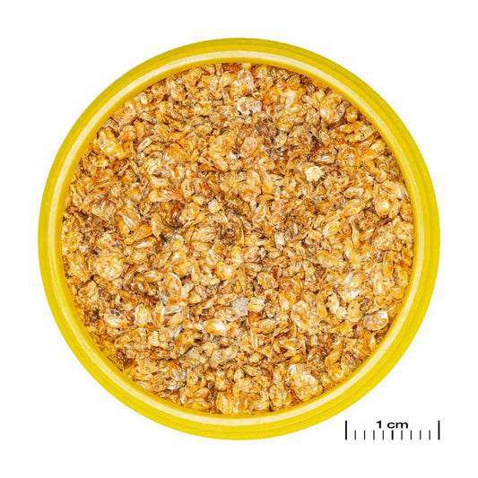 JBL PRONOVO DAPH soltorkade vattenloppor – 100 ml