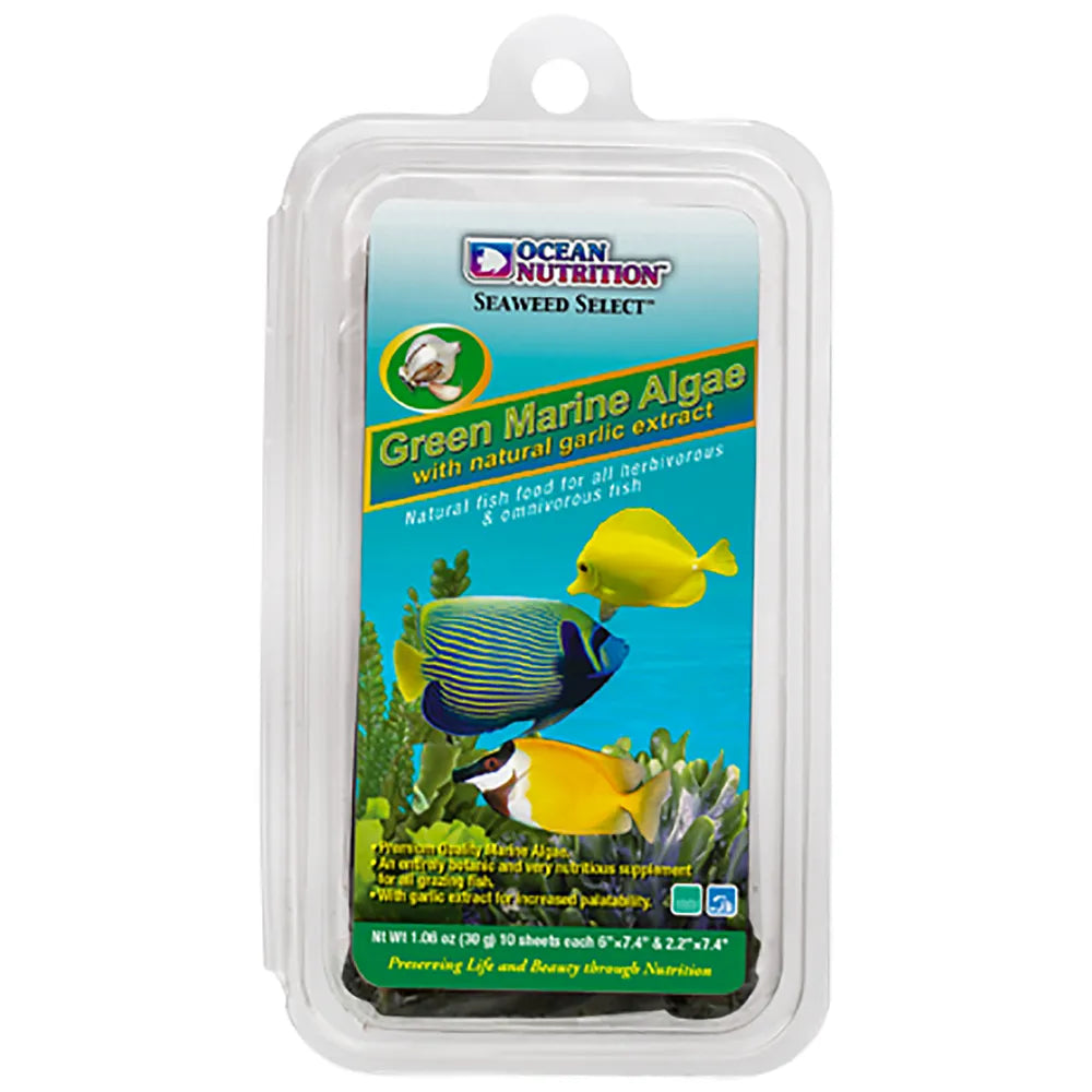 Ocean Nutrition Seaweed Select Green Marine Algae – Algark med vitlök