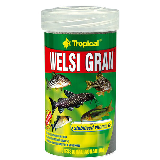 Tropical Welsi Gran