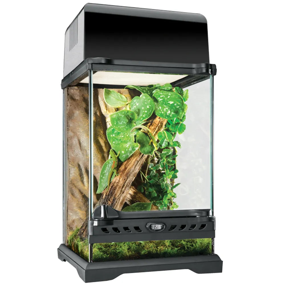 ExoTerra Natural Terrarium Nano Tall 20×20×30cm – Extra högt glas-terrarium med frontventilation, dubbeldörr och vattentät botten