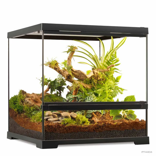 Exo Terra Pro Terrarium Small Wide – Glasterrarium 45×45×45cm