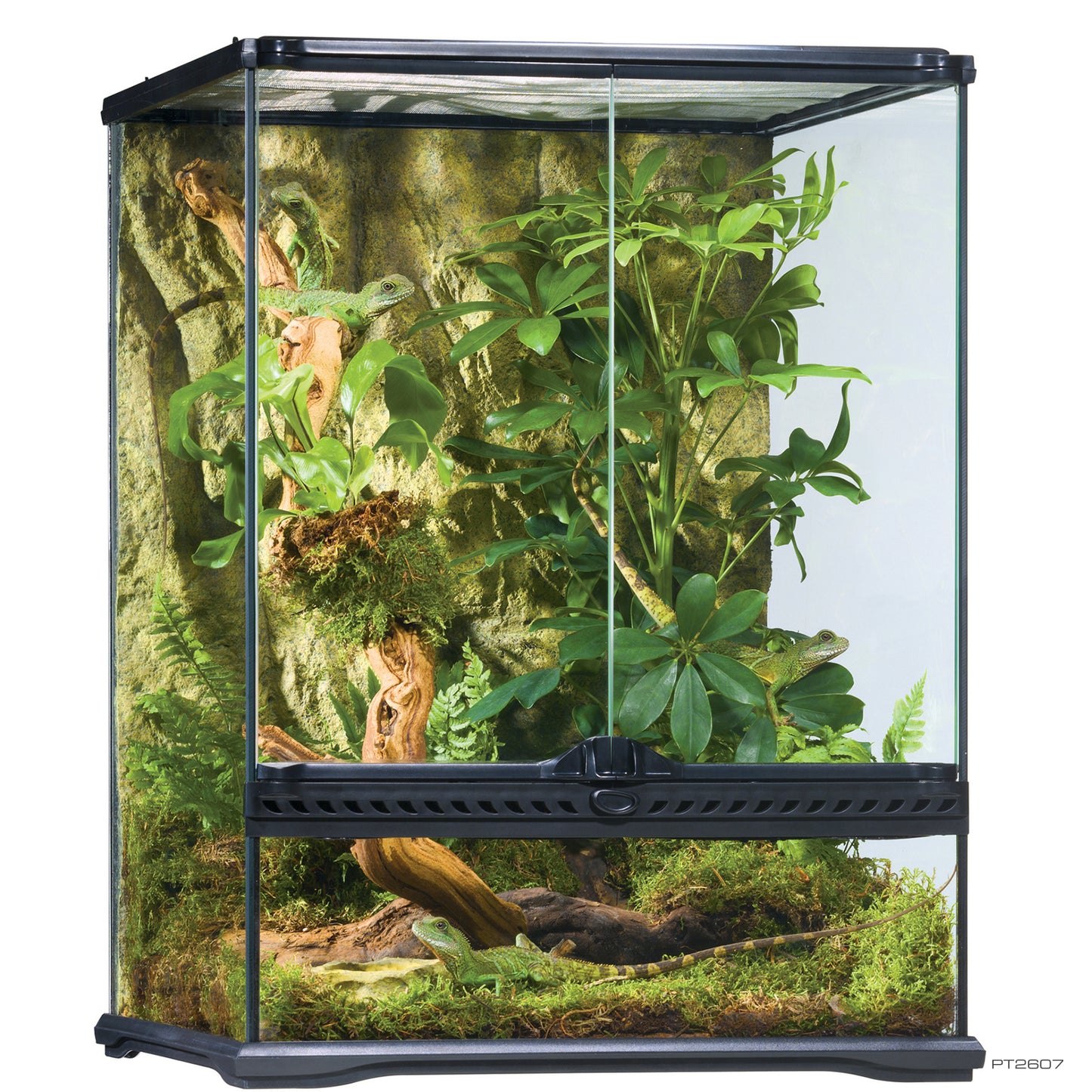 ExoTerra Terrarium Small