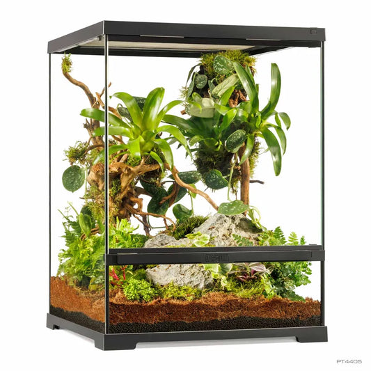 Exo Terra Pro Terrarium Small Tall – Glasterrarium 45×45×60cm