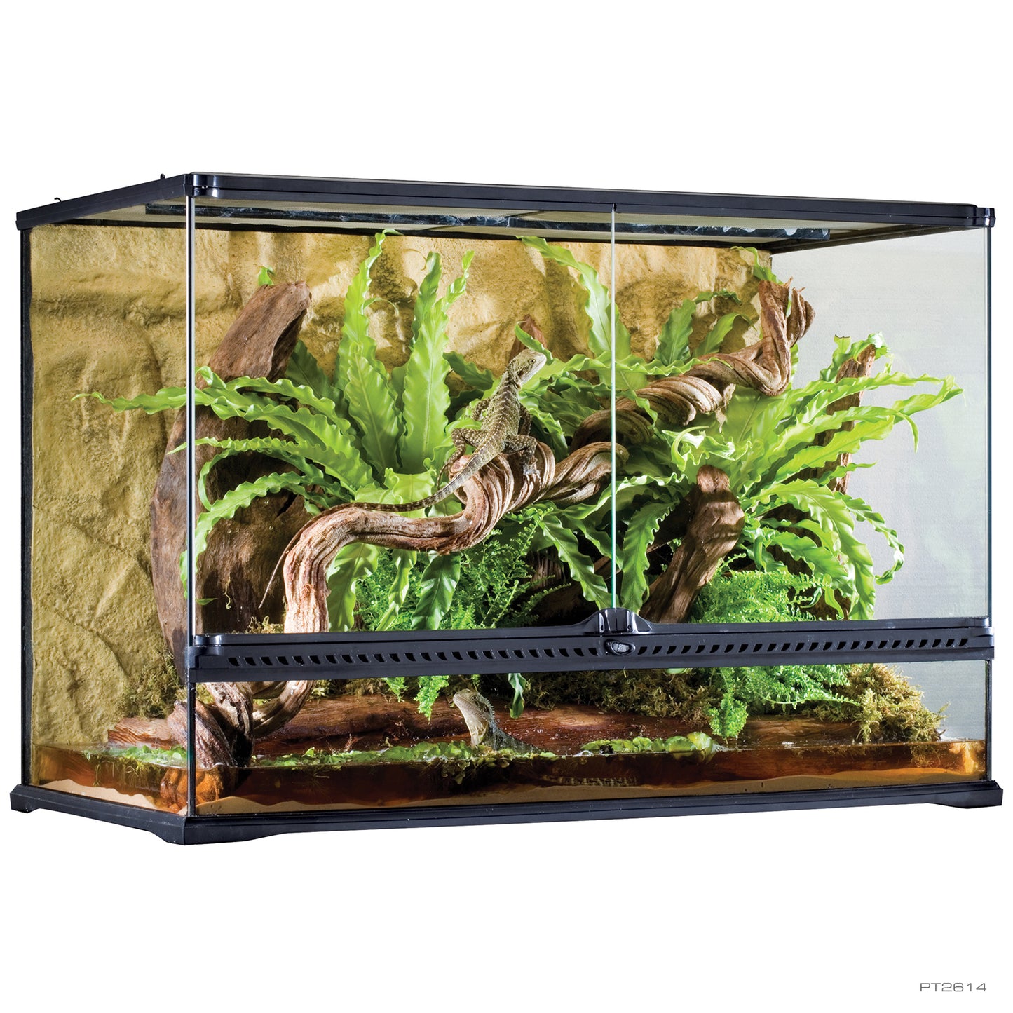 ExoTerra Terrarium Large