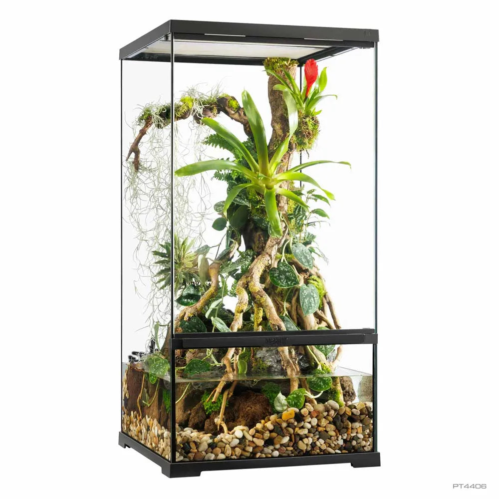 Exo Terra Pro Paludarium Small X-Tall 45×45×90cm – Avancerat paludarium för land- och vattenmiljö