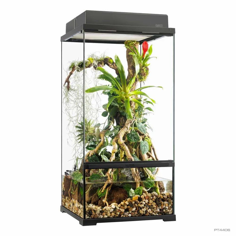 Exo Terra Pro Paludarium Small X-Tall 45×45×90cm – Avancerat paludarium för land- och vattenmiljö