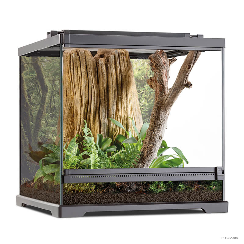 ExoTerra Frog Terrarium