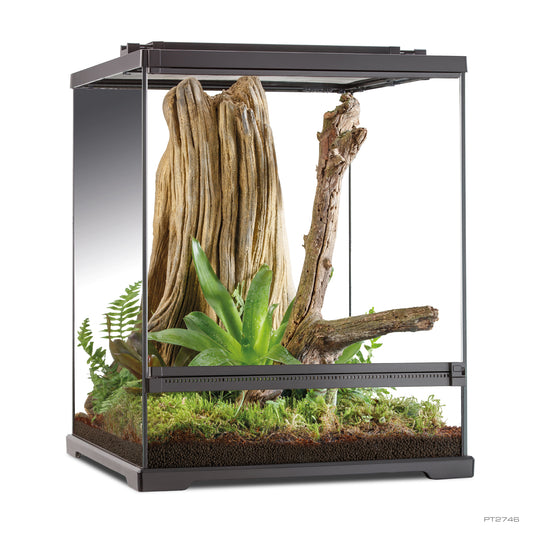 ExoTerra Frog Terrarium