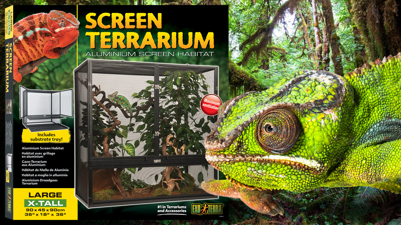 ExoTerra Screen Terrarium Small