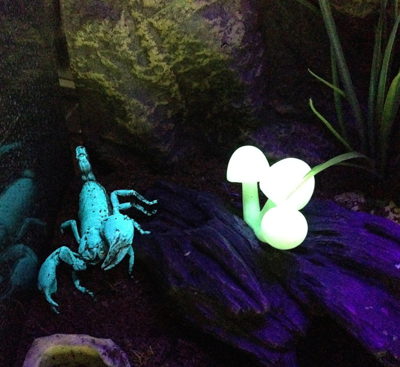 ExoTerra Scorpion Light 2W