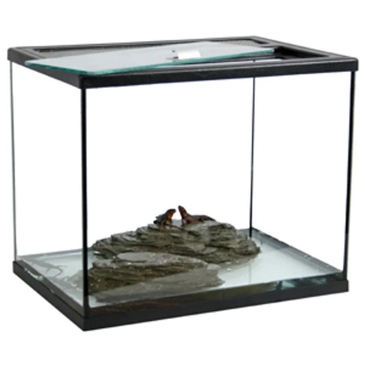 Terrarium Topp