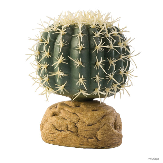 ExoTerra Barrel Cactus