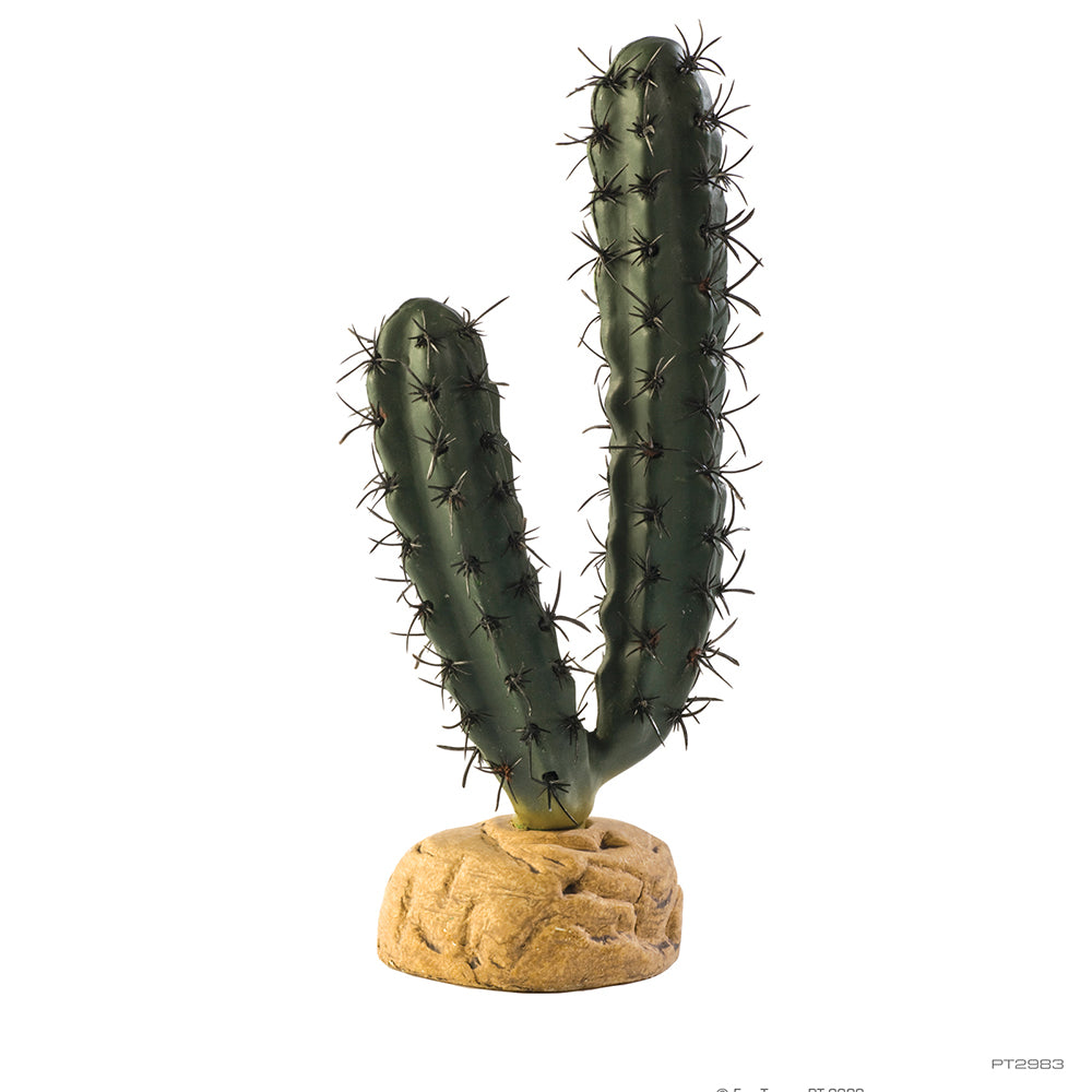 ExoTerra Finger Cactus