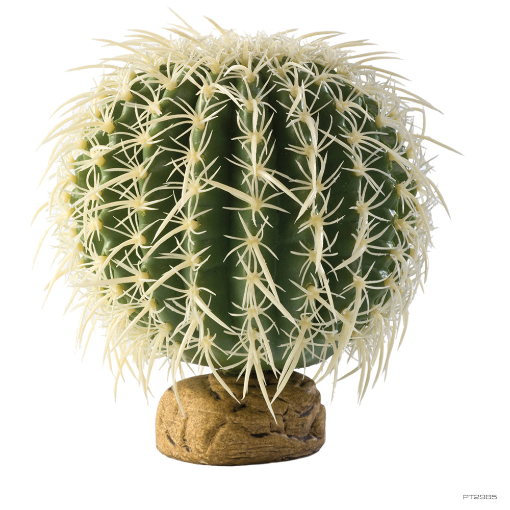 ExoTerra Barrel Cactus